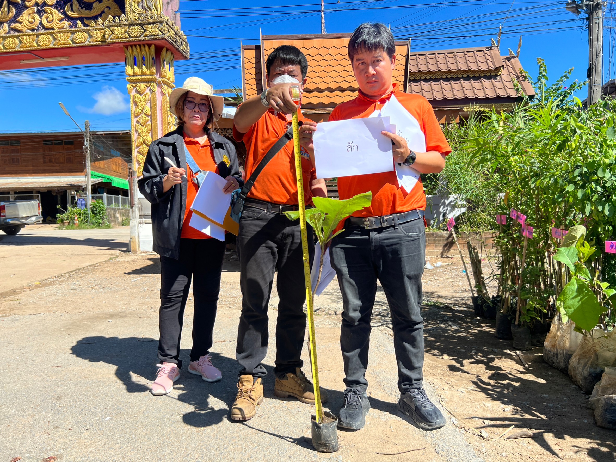 title - สนับสนุนปัจจัยการผลิต (พันธุ์ไม้) ภายใต้โครงการส่งเสริมระบบวนเกษตรในเขตปฏิรูปที่ดินจังหวัดสุโขทัย ปีงบประมาณ พ.ศ.2566